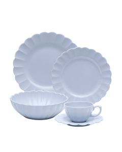 Oxford Flora | Set 30 pz Aster