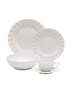 Oxford Flora | Set 30 pz Camelia